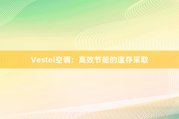 Vestel空调：高效节能的温存采取